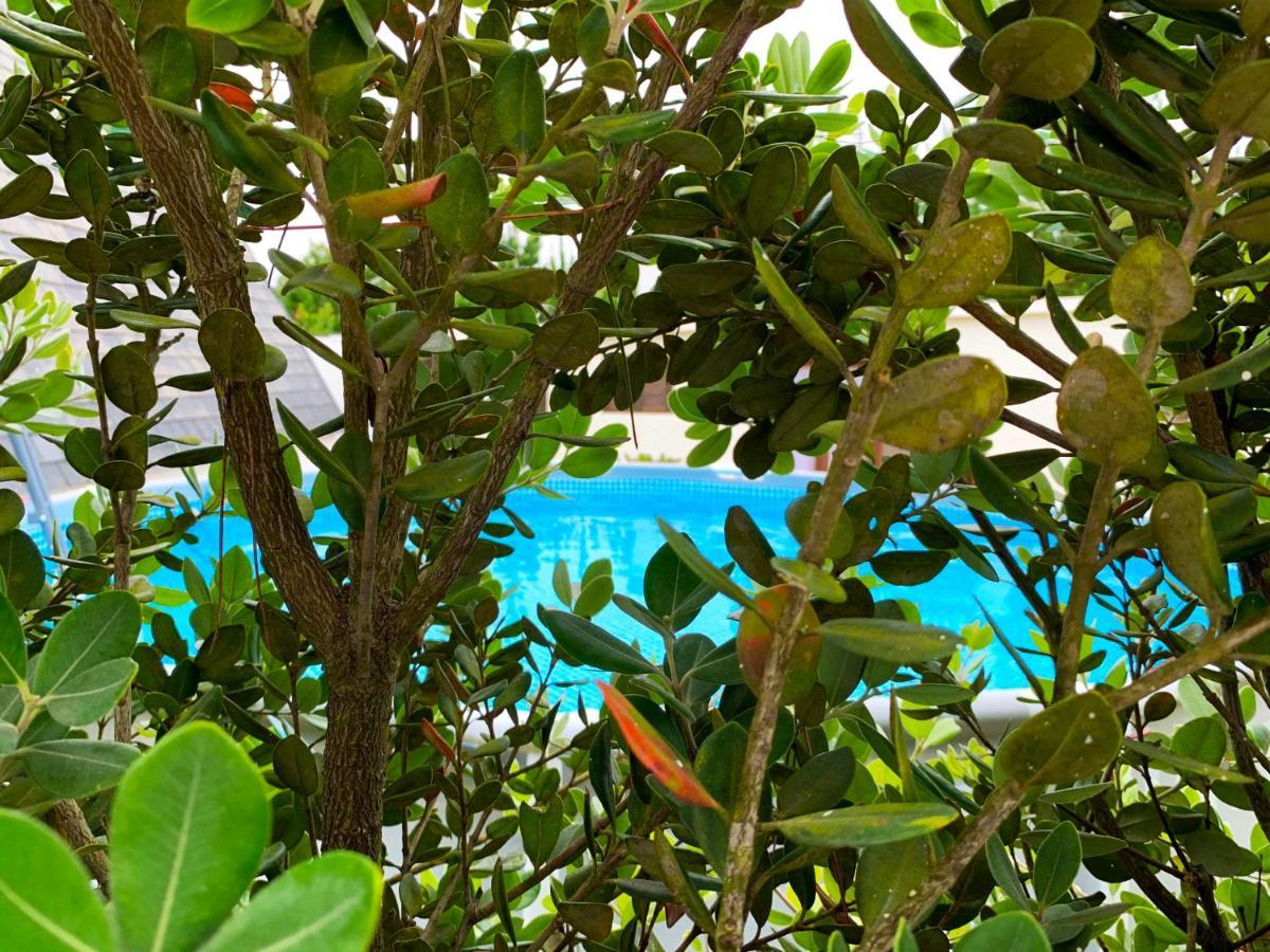 Beachliving Cabana Vila Esmoriz Exterior foto